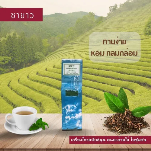 ชาขาว (ห่อสวย)