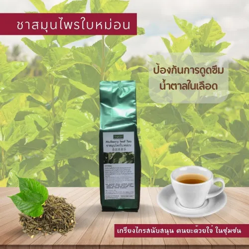 ชาเขียวใบหม่อน (ห่อสวย)